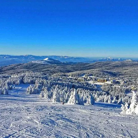 Husky Milmari Kopaonik