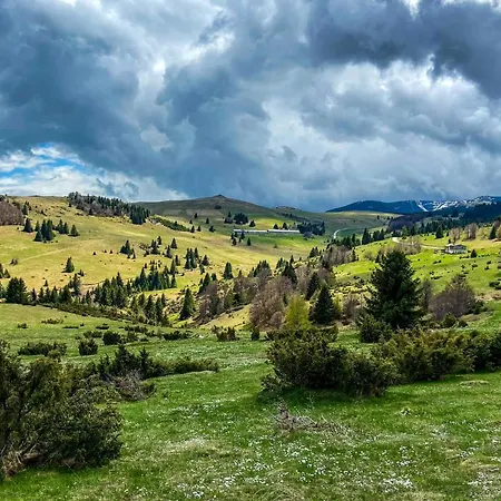 Διαμέρισμα Husky Milmari Κοπαόνικ