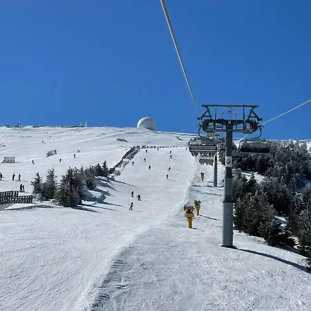 Husky Milmari * コパオニク