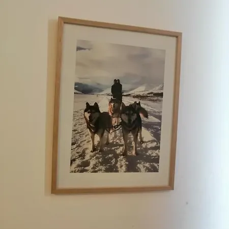 Husky Milmari Kopaonik