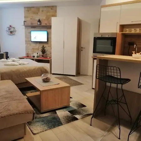 Husky Milmari * コパオニク