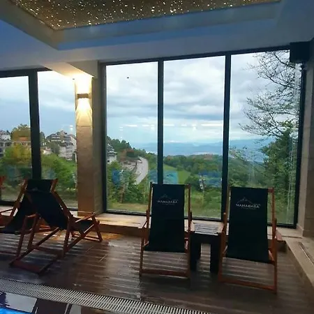 Husky Milmari Apartment Kopaonik