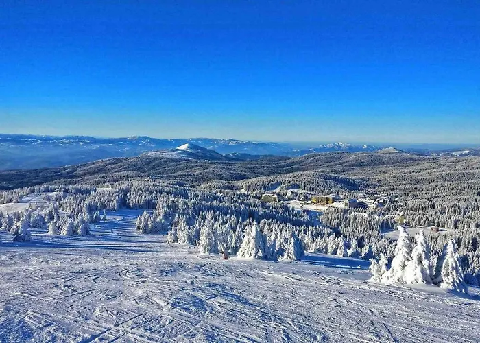 Husky Milmari 카파오닉