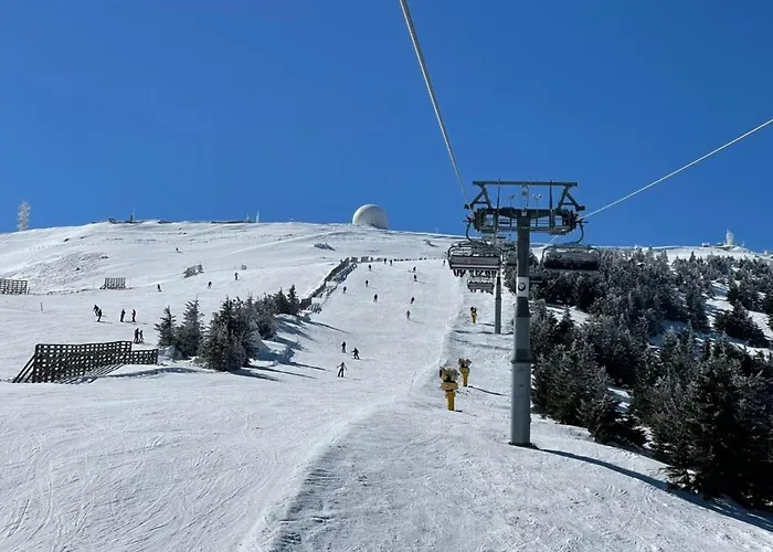 Husky Milmari * 카파오닉