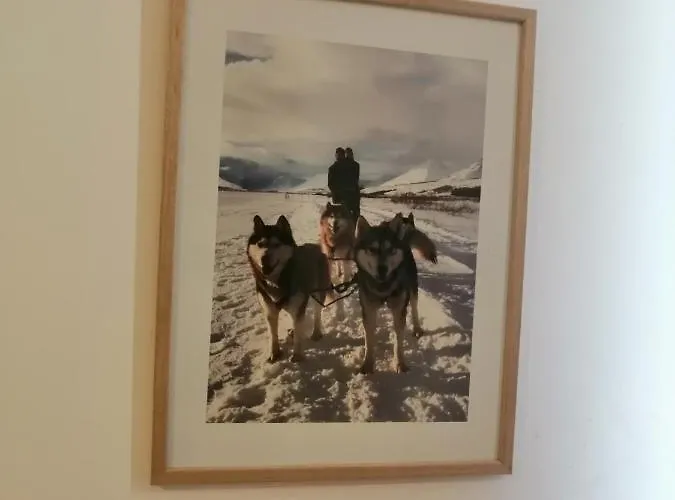 Husky Milmari 카파오닉