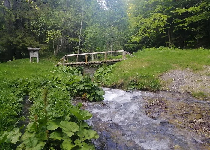 아파트 Husky Milmari 카파오닉